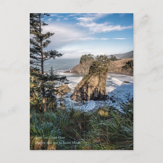 Postal Postal: Arch Rock Sea Stacks 4 (Anverso)