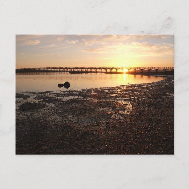 Postal Postal: Atardecer en Quinta do Lago. Portugal (Anverso)