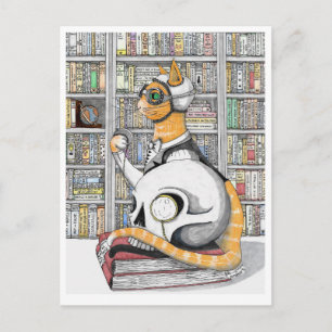 Postal Postal: Aviación para gatos