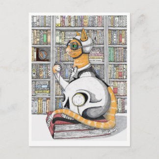Postal Postal: Aviación para gatos