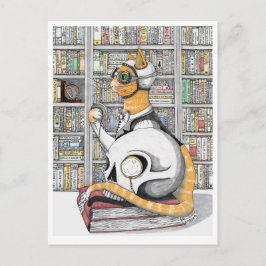 Postal Postal: Aviación para gatos