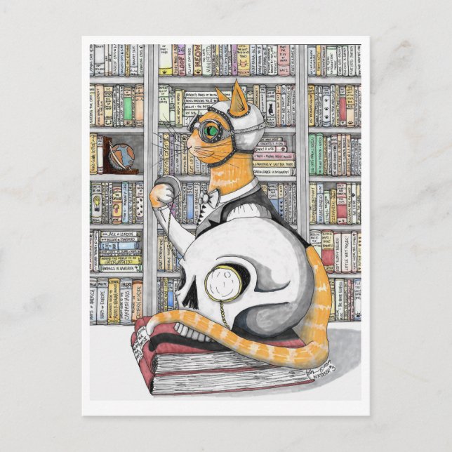 Postal Postal: Aviación para gatos (Anverso)