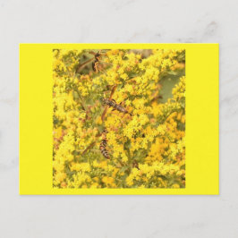 Postal Postal, avispas sobre varilla de oro, amarillo bri