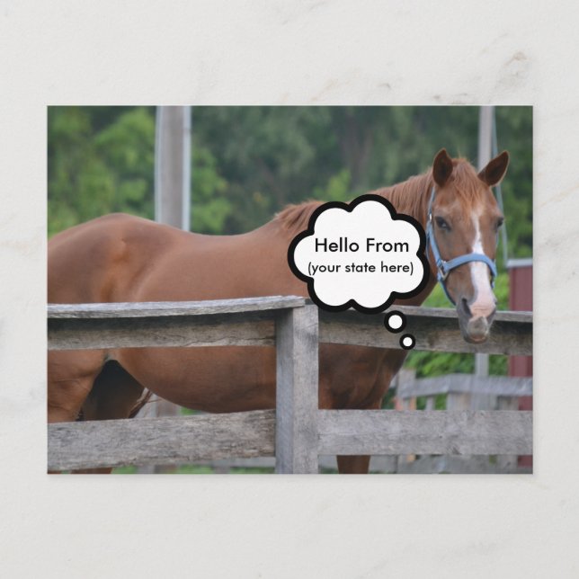 Postal Postal/caballo (Anverso)