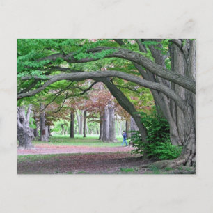 Postal Postal: Campo histórico en el parque Kissena