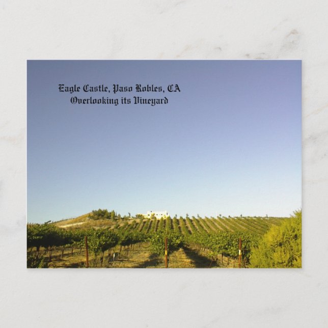 Postal Postal: Castillo de águila con vistas a su viñedo (Anverso)