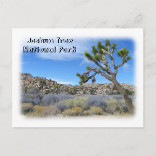 Postal ¡Postal de árbol de Guay Joshua!