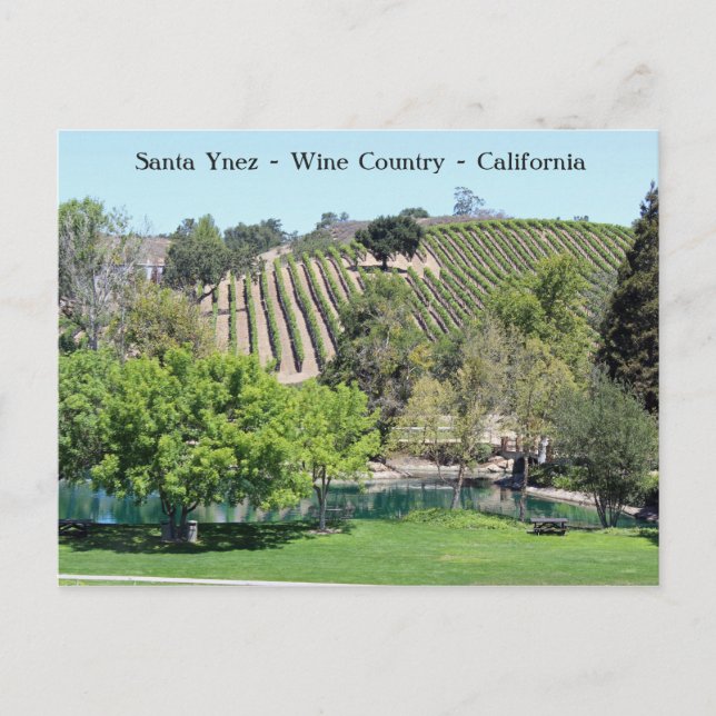 Postal ¡Postal de campo de vino de Santa Ynez! (Anverso)