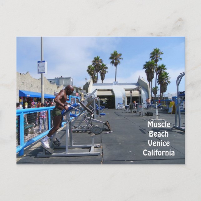 Postal ¡Postal de Venecia en Muscle Beach! (Anverso)