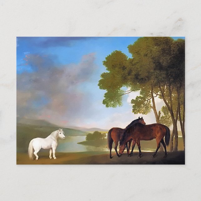 Postal Postal: Dos Bay Mare y una Pony Gris (Anverso)