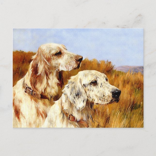 Postal Postal: Dos sedes de Arthur Wardle (Anverso)