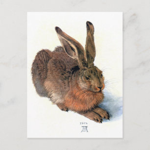 Postal Postal: El conejo