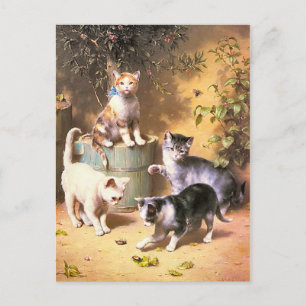 Postal Postal: "Gatitos jugando con escarabajos"
