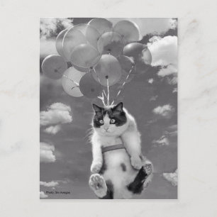 Postal Postal: Gato gracioso volando con globos