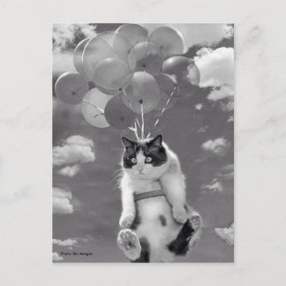 Postal Postal: Gato gracioso volando con globos