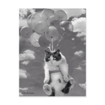 Postal: Gato gracioso volando con globos
