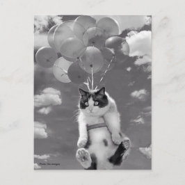 Postal Postal: Gato gracioso volando con globos