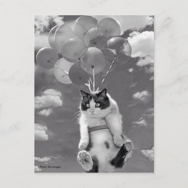 Postal Postal: Gato gracioso volando con globos (Anverso)