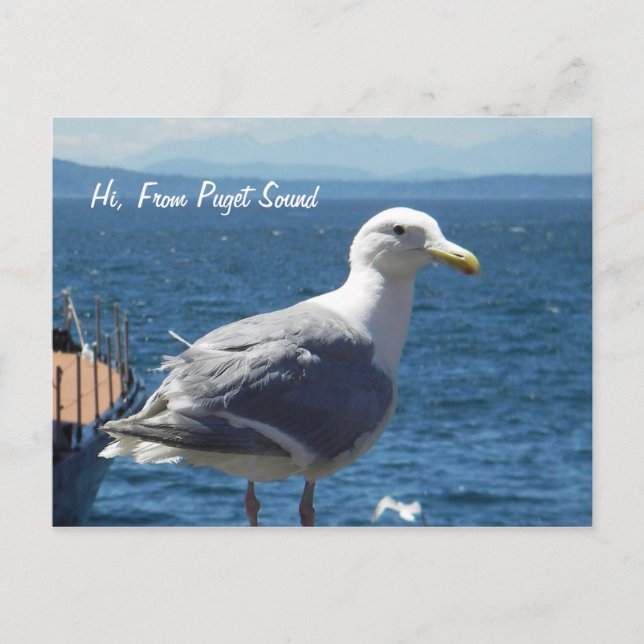 Postal Postal: Gaviota #1 (Anverso)