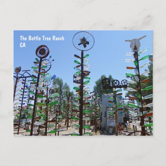 Postal ¡Postal Guay Bottle Tree Ranch! (Anverso)