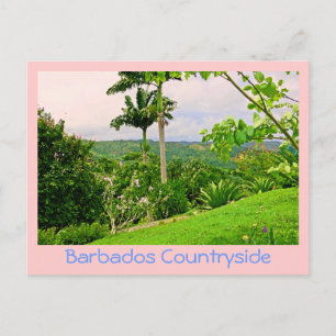 Postal postal, "HERMOSA CAMPO DE BARBADOS (FOTOG)
