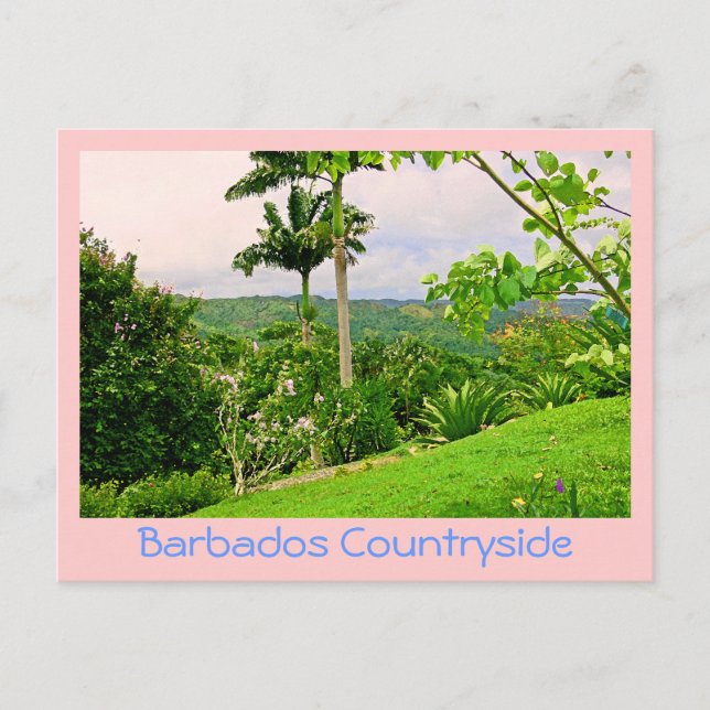 Postal postal, "HERMOSA CAMPO DE BARBADOS (FOTOG) (Anverso)