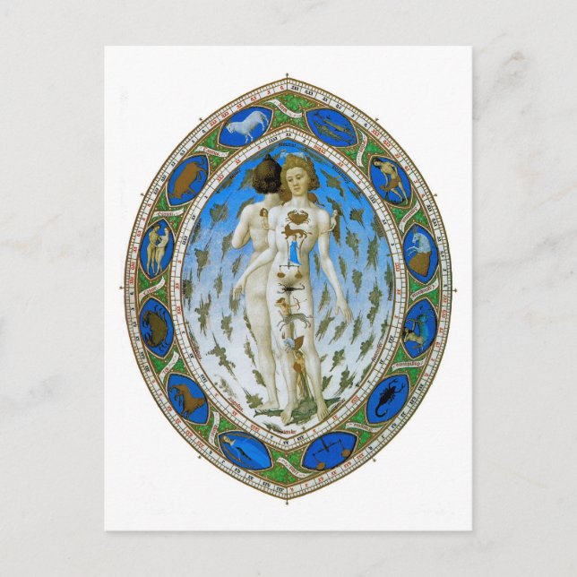 Postal Postal: Hombre anatómico (Anverso)