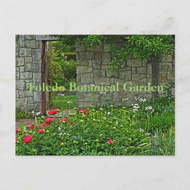 Postal postal, JARDÍN BOTÁNICO TOLEDO (Anverso)