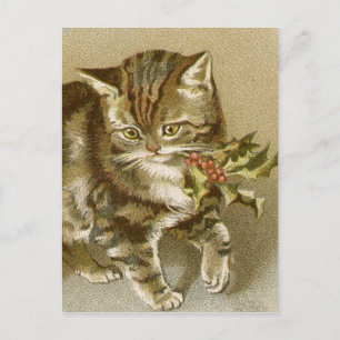 Postal Postal:  Kitty con Holly Sprig
