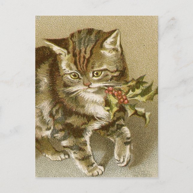 Postal Postal:  Kitty con Holly Sprig (Anverso)