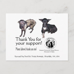 Postal Postal:  Moisés, antes y después de su rescate