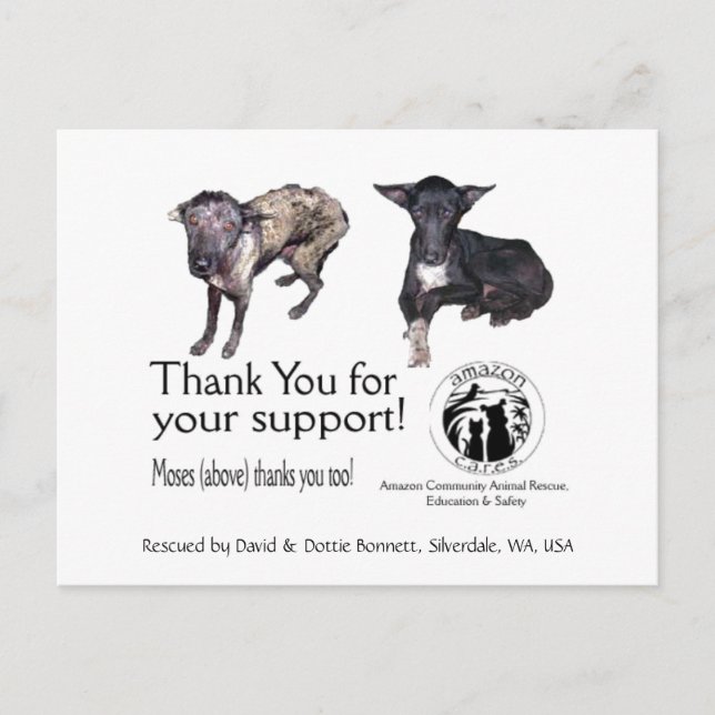 Postal Postal: Moses, antes y después de su rescate (Anverso)