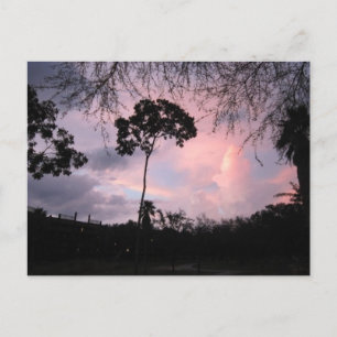 Postal Postal: Mundo la Florida de la puesta del sol