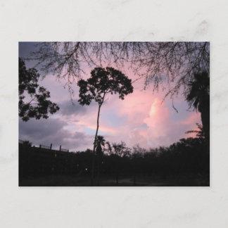 Postal Postal: Mundo la Florida de la puesta del sol