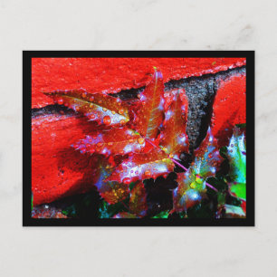 Postal Postal-Naturaleza-Arte de la Lluvia 32
