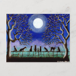 Postal Postal, negro, gatos, paisaje, todos los días, Hal