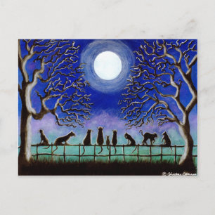 Postal Postal, negro, gatos, paisaje, todos los días, Hal