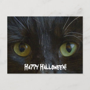 Postal Postal:  Ojos de gato negros