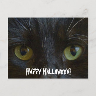 Postal Postal: Ojos de gato negros