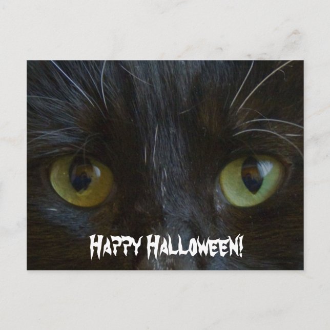 Postal Postal:  Ojos de gato negros (Anverso)