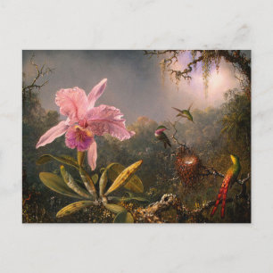 Postal Postal: Orquídeas y Hummingbirds