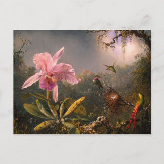 Postal Postal: Orquídeas y Hummingbirds