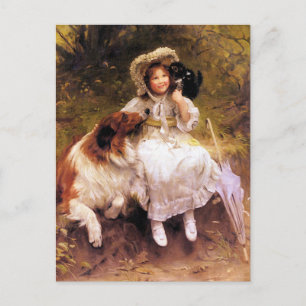 Postal Postal: Perro Collie, Chica y gato