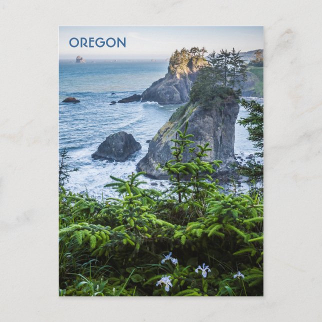 Postal Postal: Pilas Marinas E Iris (Retrato) (Anverso)