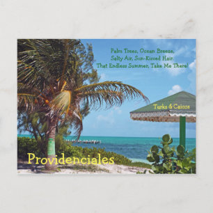 Postal postal, PROVIDENCIALES/ÁRBOL DE PALMA Y UMBRELLA/T