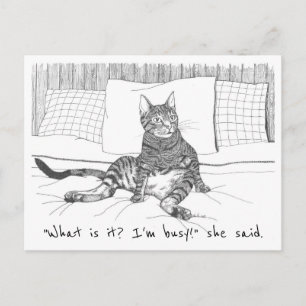 Postal postal: "¿Qué quieres?" (Lily)