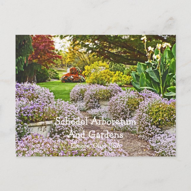 Postal postal, Schedel Arboretum y Gardens (Anverso)