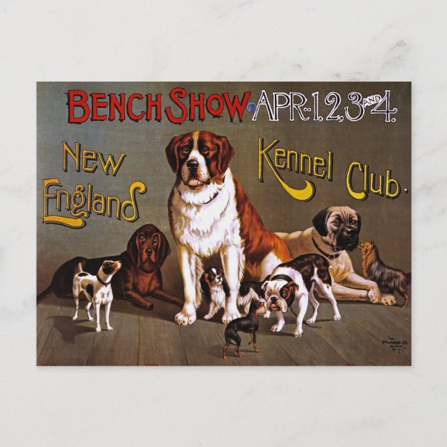 Postal Postal: Show de perros: Bench Show 1890 (Anverso)