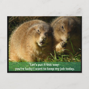 Postal Postal: Snarky Prairie Dogs