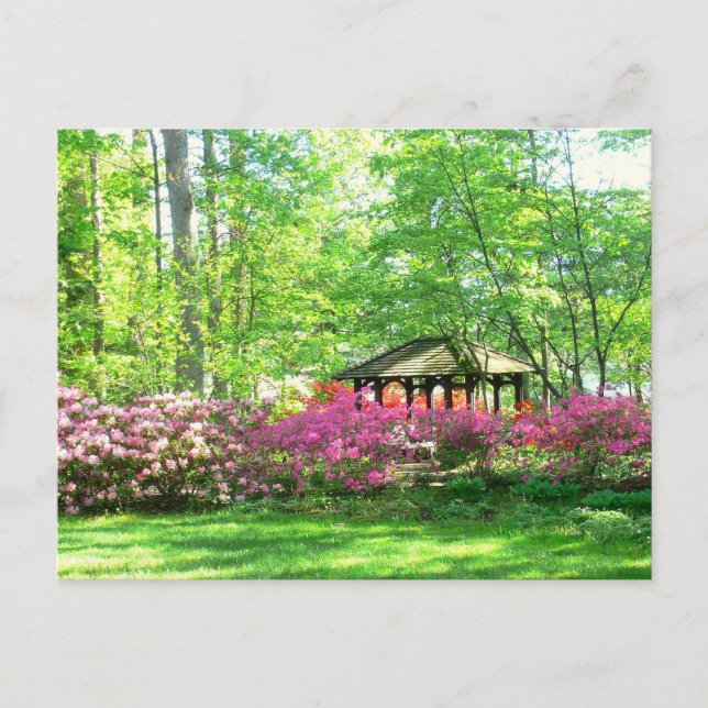 Postal postal, "Springtime At Toledo Botanical Garden" (Anverso)